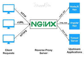 NGINX as Reverse Proxy for Node or ...