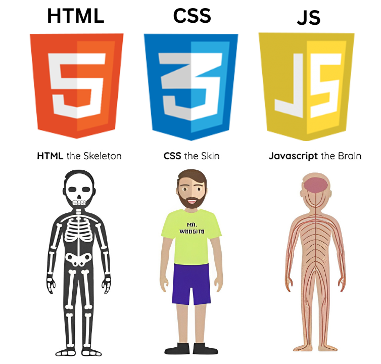 The Fundamental Elements of Web Development: HTML, CSS, and JavaScript